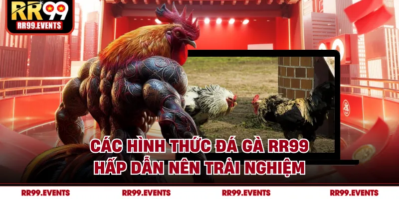 Các hình thức đá gà RR99 hấp dẫn nên trải nghiệm