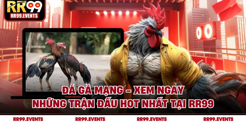 Đá Gà Mạng - Xem Ngay Những Trận Đấu Hot Nhất Tại RR99
