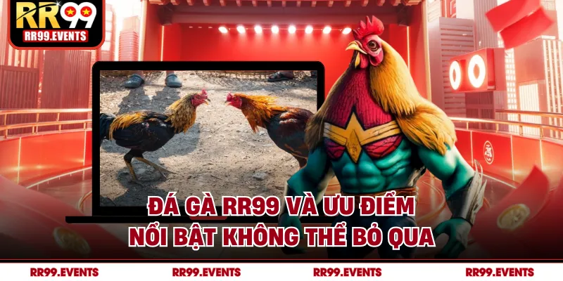 Đá gà RR99 và ưu điểm nổi bật không thể bỏ qua