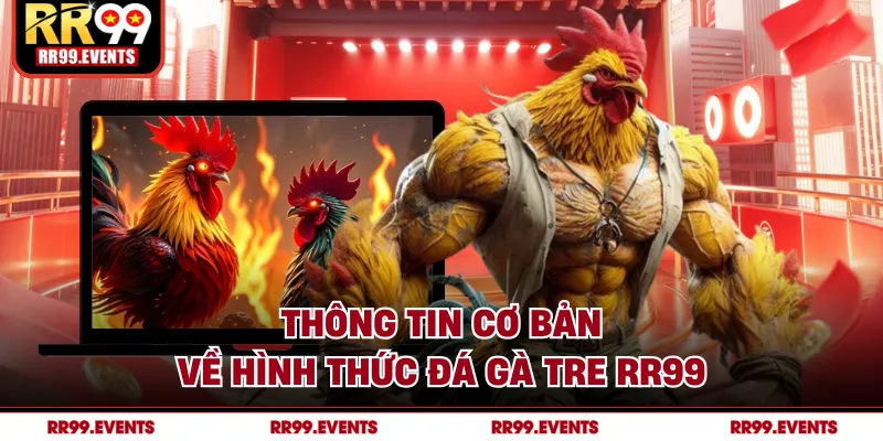 Thông tin cơ bản về hình thức đá gà tre RR99