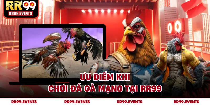 Ưu điểm khi chơi đá gà mạng tại RR99